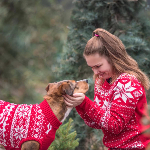 Festival Red | Fair Isle Mockneck Dog Sweater