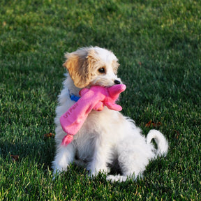 Li'l Pals Plush Crinkle Dog Toy